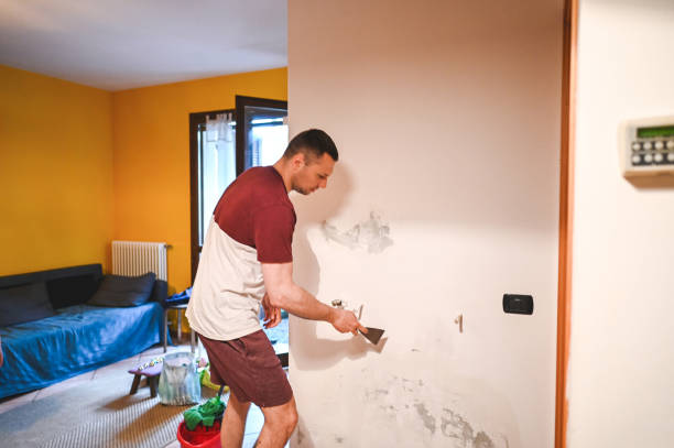 Best Crawl Space Mold Removal  in Socorro, TX